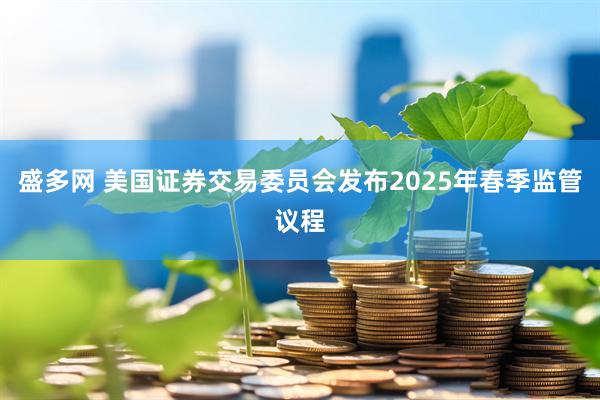 盛多网 美国证券交易委员会发布2025年春季监管议程